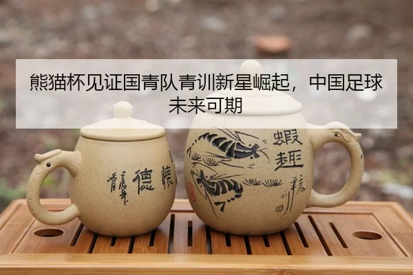 熊猫杯见证国青队青训新星崛起，中国足球未来可期