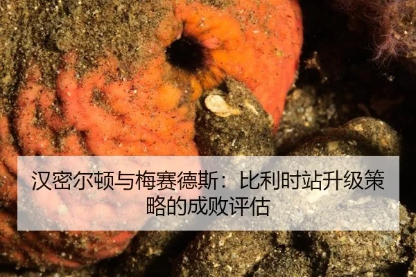 han-mi-er-dun-yu-mei-sai-de-si-bi-li-shi-zhan-sheng-ji-ce-lve-de-cheng-bai-ping-gu-2-779.jpg
