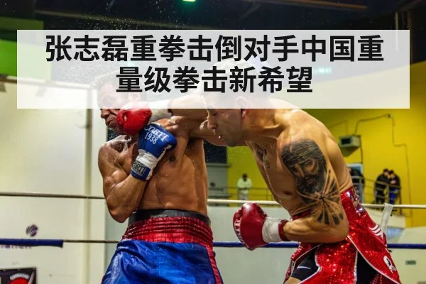 boxing knockout punch