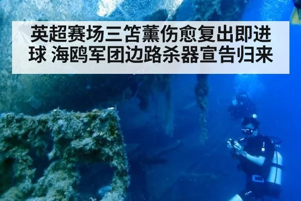 英超赛场三笘薰伤愈复出即进球 海鸥军团边路杀器宣告归来